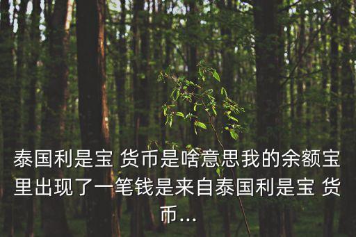 泰國(guó)利是寶 貨幣是啥意思我的余額寶里出現(xiàn)了一筆錢(qián)是來(lái)自泰國(guó)利是寶 貨幣...
