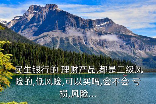  民生銀行的 理財產(chǎn)品,都是二級風險的,低風險,可以買嗎,會不會 虧損,風險...