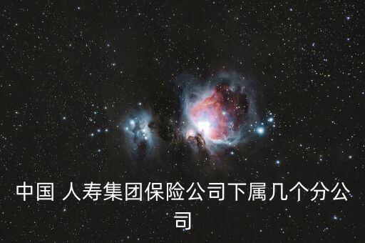 中國 人壽集團(tuán)保險(xiǎn)公司下屬幾個(gè)分公司