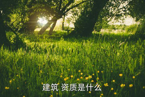 蘭石建設公司資質,蘭石集團建設公司