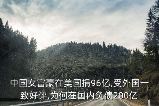 中國女富豪在美國捐96億,受外國一致好評(píng),為何在國內(nèi)負(fù)債200億