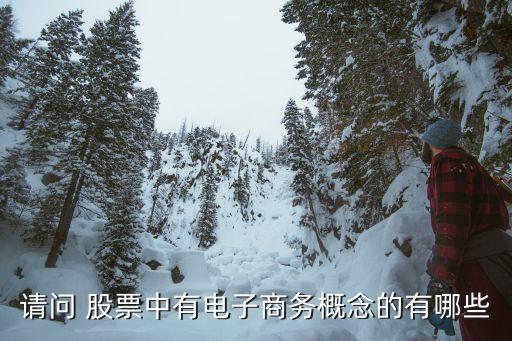 請問 股票中有電子商務(wù)概念的有哪些