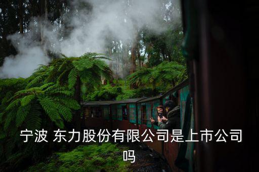 寧波東力傳動設(shè)備股份有限公司網(wǎng)站