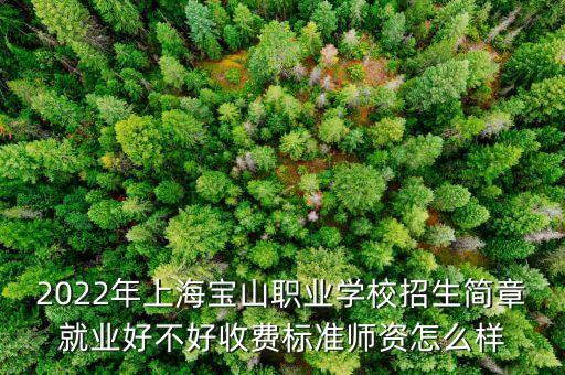 2022年上海寶山職業(yè)學(xué)校招生簡章就業(yè)好不好收費標準師資怎么樣
