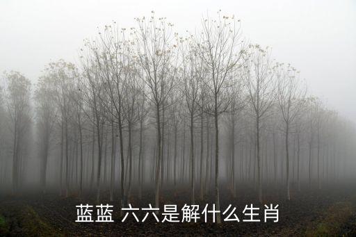 藍(lán)藍(lán) 六六是解什么生肖