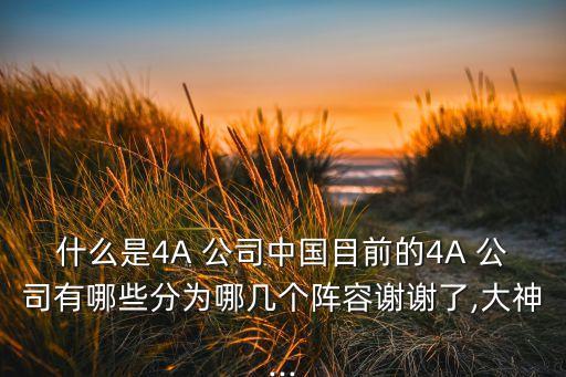 什么是4A 公司中國(guó)目前的4A 公司有哪些分為哪幾個(gè)陣容謝謝了,大神...