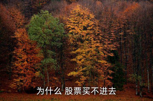 為什么 股票買不進去