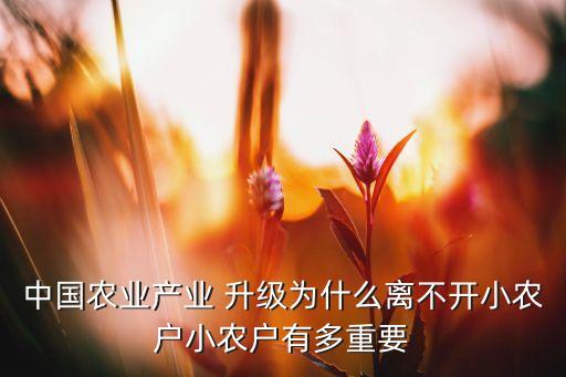 中國農業(yè)產業(yè) 升級為什么離不開小農戶小農戶有多重要
