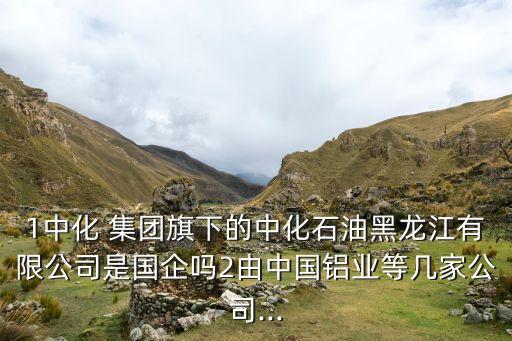 1中化 集團(tuán)旗下的中化石油黑龍江有限公司是國(guó)企嗎2由中國(guó)鋁業(yè)等幾家公司...