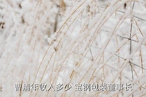 曹清年收入多少 寶鋼包裝董事長(zhǎng)