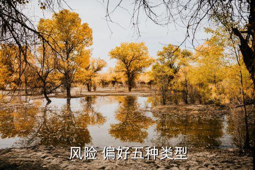  風(fēng)險 偏好五種類型