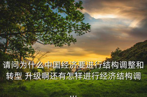 請問為什么中國經濟要進行結構調整和轉型 升級啊還有怎樣進行經濟結構調...