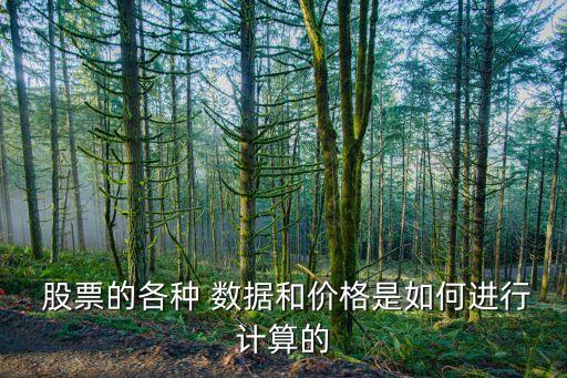  股票的各種 數據和價格是如何進行計算的