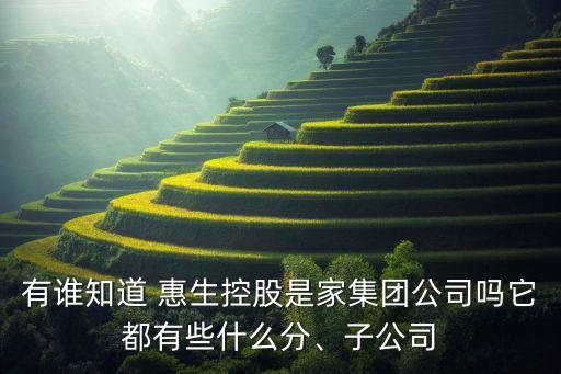 有誰(shuí)知道 惠生控股是家集團(tuán)公司嗎它都有些什么分、子公司