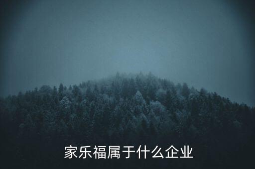  家樂(lè)福屬于什么企業(yè)