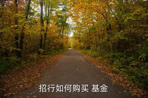 招行如何購(gòu)買 基金