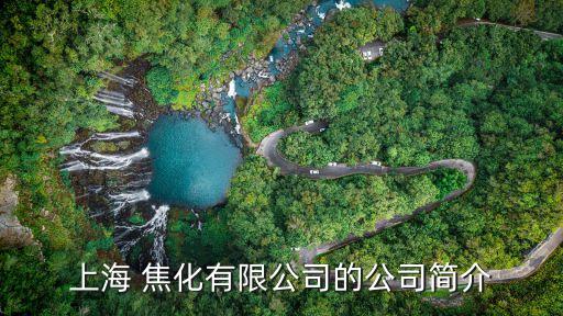 上海 焦化有限公司的公司簡(jiǎn)介