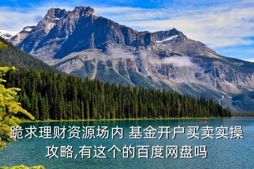 跪求理財(cái)資源場內(nèi) 基金開戶買賣實(shí)操攻略,有這個(gè)的百度網(wǎng)盤嗎