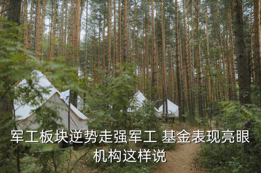 軍工板塊逆勢走強軍工 基金表現亮眼機構這樣說