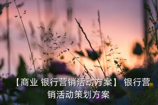 【商業(yè) 銀行營(yíng)銷(xiāo)活動(dòng)方案】 銀行營(yíng)銷(xiāo)活動(dòng)策劃方案