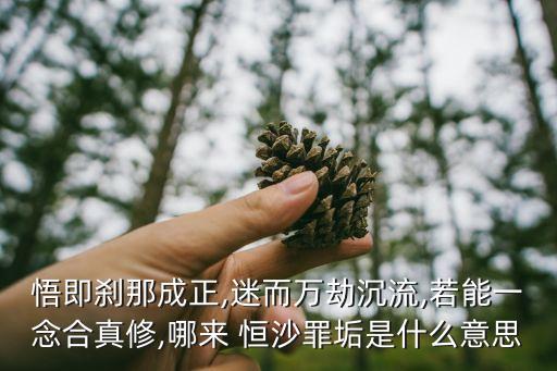 北京恒沙科技有限責任公司,北京天宇恒科技有限責任公司