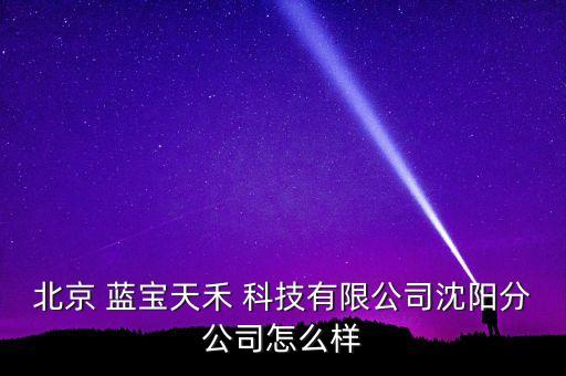 北京 藍(lán)寶天禾 科技有限公司沈陽(yáng)分公司怎么樣