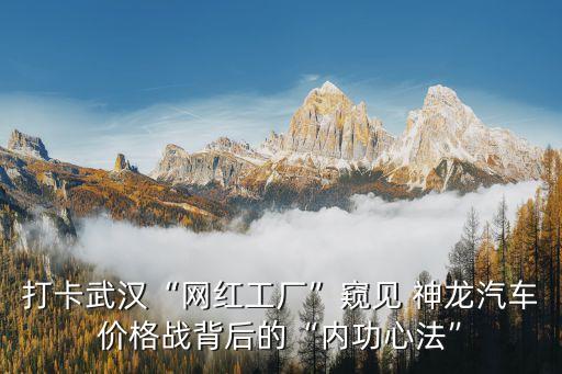 打卡武漢“網(wǎng)紅工廠”窺見 神龍汽車價格戰(zhàn)背后的“內功心法”