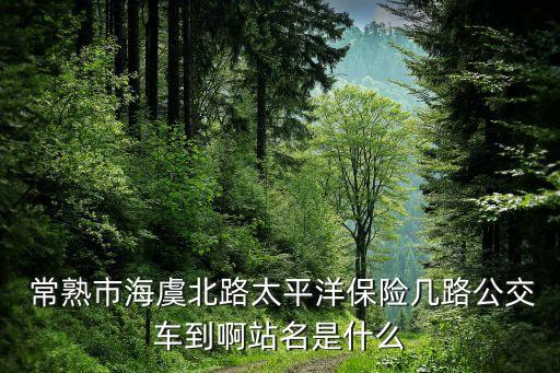  常熟市海虞北路太平洋保險幾路公交車到啊站名是什么