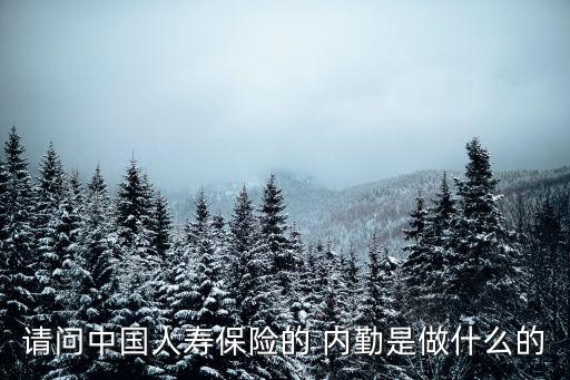 請問中國人壽保險的 內勤是做什么的