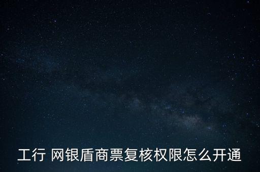 工行 網(wǎng)銀盾商票復(fù)核權(quán)限怎么開(kāi)通