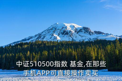 中證510500指數(shù) 基金,在那些手機APP可直接操作賣買