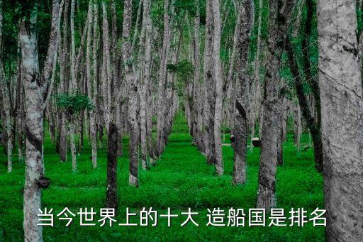 當今世界上的十大 造船國是排名