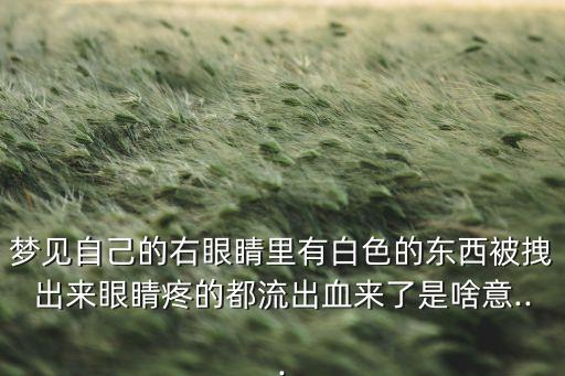 夢(mèng)見(jiàn)自己的右眼睛里有白色的東西被拽出來(lái)眼睛疼的都流出血來(lái)了是啥意...