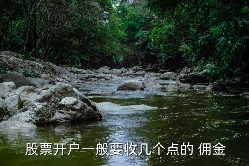  股票開(kāi)戶一般要收幾個(gè)點(diǎn)的 傭金