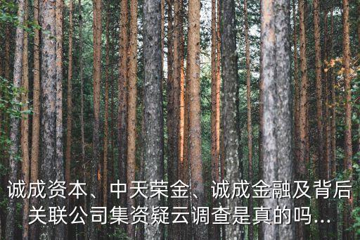 誠成資本、中天榮金、誠成金融及背后關(guān)聯(lián)公司集資疑云調(diào)查是真的嗎...