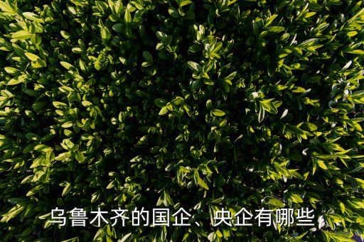 烏魯木齊的國企、央企有哪些