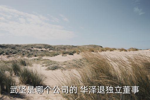武堅是哪個公司的 華澤退獨(dú)立董事