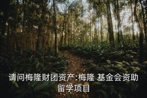 請問梅隆財團資產(chǎn):梅隆 基金會資助留學(xué)項目