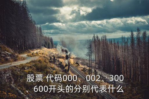  股票 代碼000、002、300、600開頭的分別代表什么