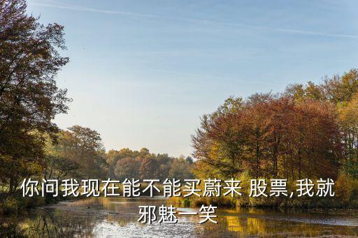 你問(wèn)我現(xiàn)在能不能買(mǎi)蔚來(lái) 股票,我就邪魅一笑