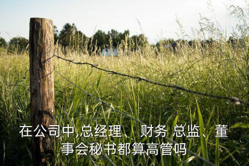 在公司中,總經(jīng)理、 財(cái)務(wù) 總監(jiān)、董事會(huì)秘書都算高管嗎