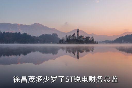 徐昌茂多少歲了ST銳電財務總監(jiān)