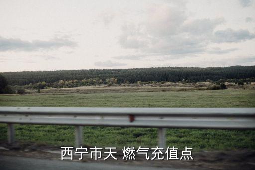 西寧市天 燃氣充值點