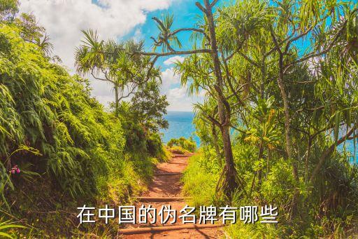 在中國的偽名牌有哪些