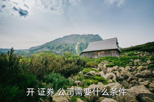 個體是否可開證券公司