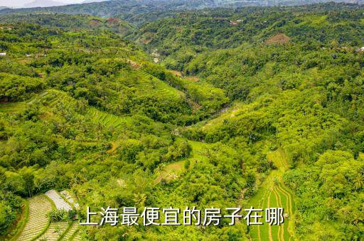 上海最便宜的房子在哪