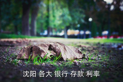 沈陽(yáng) 各大 銀行 存款 利率