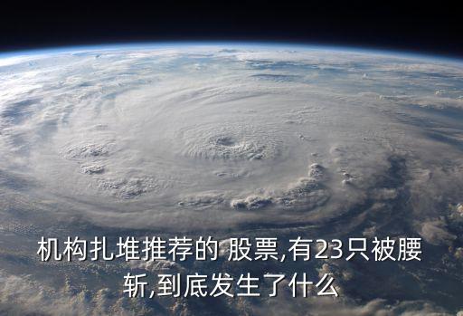 機構扎堆推薦的 股票,有23只被腰斬,到底發(fā)生了什么
