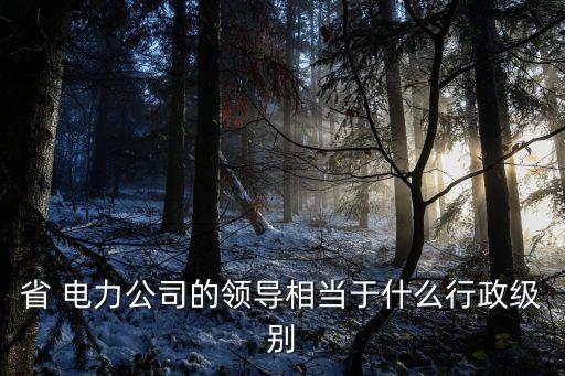 省 電力公司的領(lǐng)導(dǎo)相當于什么行政級別