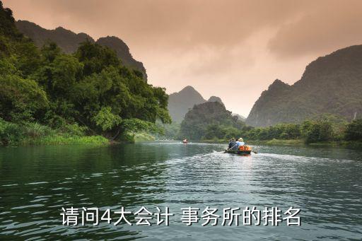 請問4大會(huì)計(jì) 事務(wù)所的排名